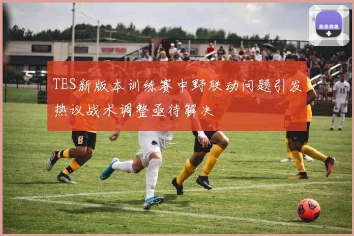 TES新版本训练赛中野联动问题引发热议战术调整亟待解决