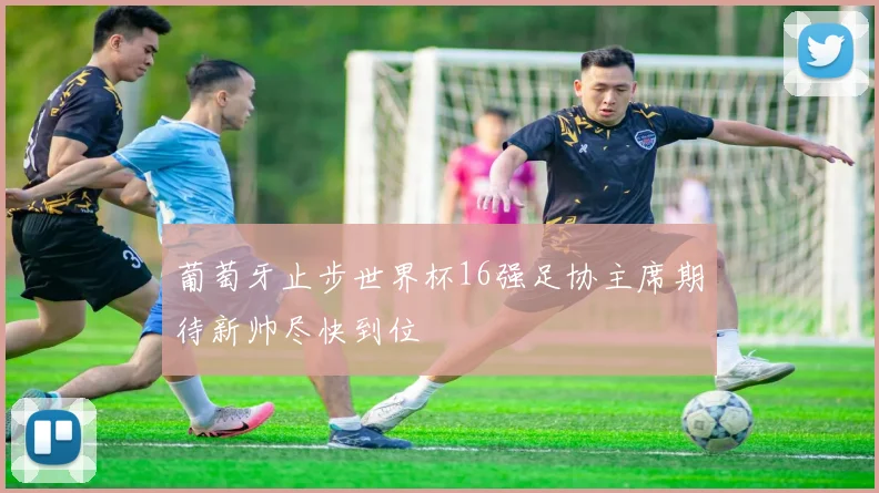 葡萄牙止步世界杯16强足协主席期待新帅尽快到位